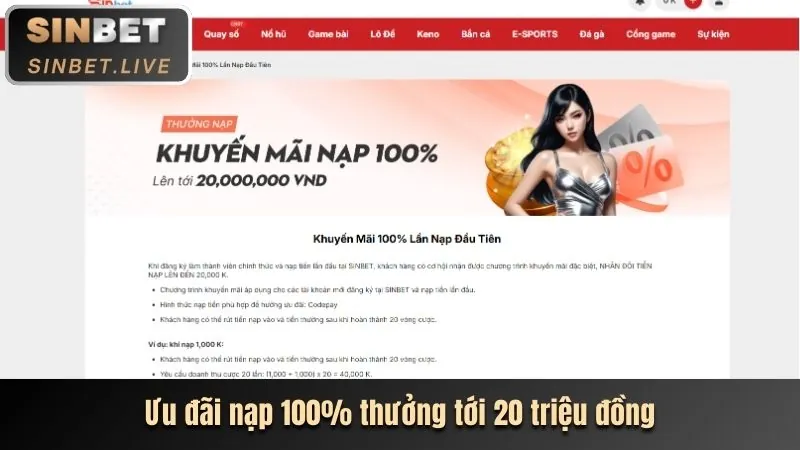 Các chương trình khuyến mãi độc quyền tại Nextbet